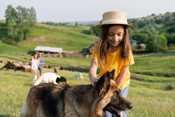 Smiling child in straw hat stroking cattle dog near parents herding flock on blurred background - foto de stock