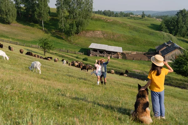 Child with dog waving hand to parents herding cattle in picturesque pasture — Photo de stock