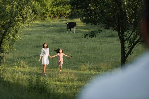 Feliz chica cogida de la mano con la madre cerca de vaca pastando en verde prado - foto de stock