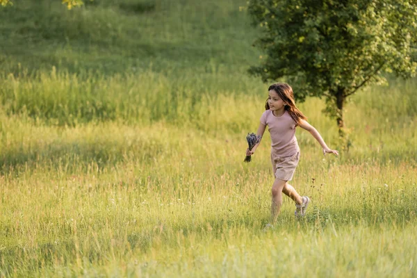 Повна довжина дитини з лавандовим букетом, що проходить через трав'янистий луг влітку — стокове фото