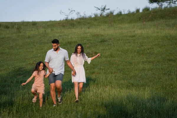 Toute la longueur de la famille joyeuse tenant la main tout en marchant dans la prairie verte — Photo de stock