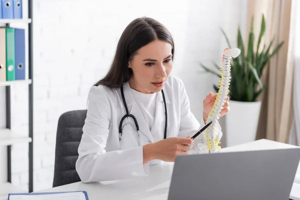 Doctor apuntando al modelo espinal durante la videollamada en el portátil en la clínica - foto de stock