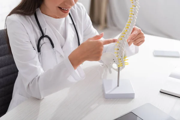 Ausgeschnittene Ansicht eines lächelnden Arztes, der auf ein Wirbelsäulenmodell in der Nähe des Laptops in der Klinik zeigt — Stockfoto