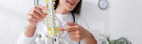Cropped view of cheerful doctor pointing at spinal model in hospital, banner — Stock Photo