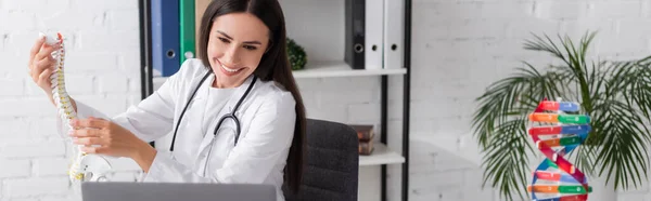 Fröhlicher Arzt mit Wirbelsäulenmodell während Videoanruf auf Laptop im Krankenhaus, Banner — Stockfoto