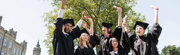 Low angle view of excited multiethnic bachelors in caps holding diplomas in park, banner - foto de stock