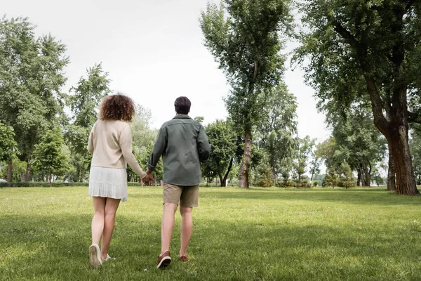 Back view of curly woman in dress and man in summer clothes walking together in park — Fotografia de Stock