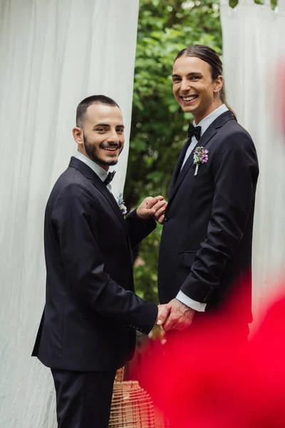 Happy gay newlyweds in formal wear with boutonnieres holding hands during wedding ceremony — Stockfoto