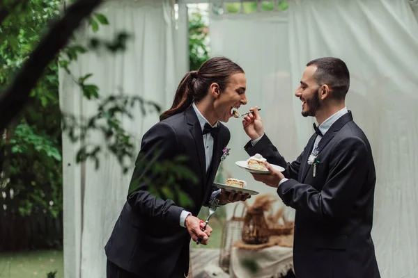 Feliz gay hombre en formal desgaste alimentación marido con boda pastel - foto de stock