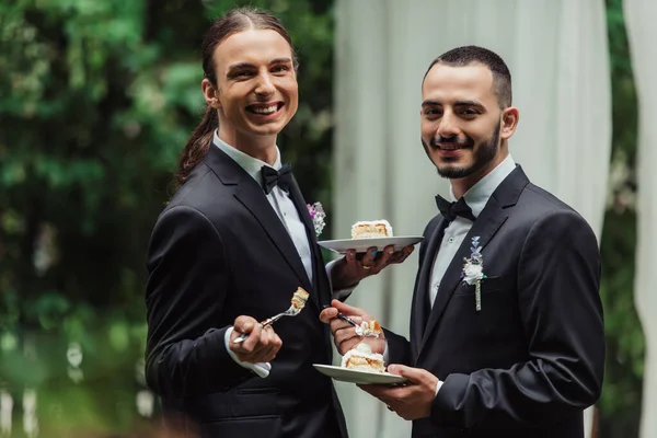 Glückliches homosexuelles Brautpaar in formeller Kleidung mit Hochzeitstorte auf Tellern — Stockfoto