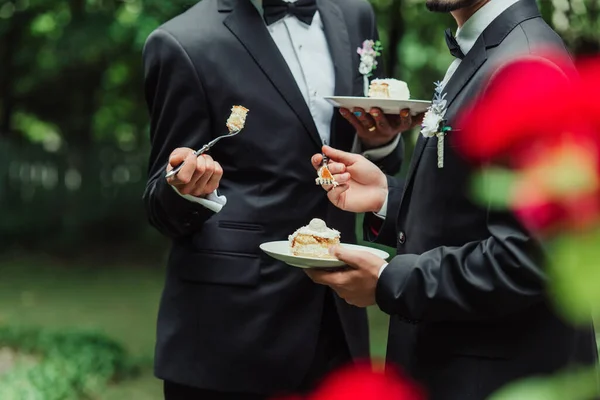 Cropped view of gay newlyweds in formal wear holding wedding cake on plate — Stock Photo
