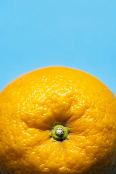 Close up view of bright orange isolated on blue — Fotografia de Stock