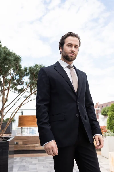 Elegant groom looking at camera on terrace — Stock Photo