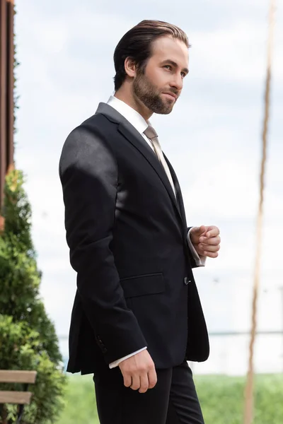 Bearded groom in formal wear looking away on terrace - foto de stock