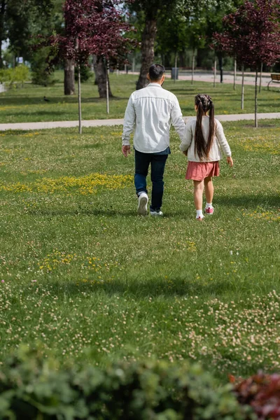 Back view of father with daughter walking on meadow with flowers in park — Foto stock