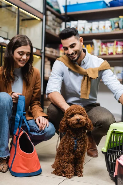 Smiling multiethnic couple looking at poodle in pet shop - foto de stock