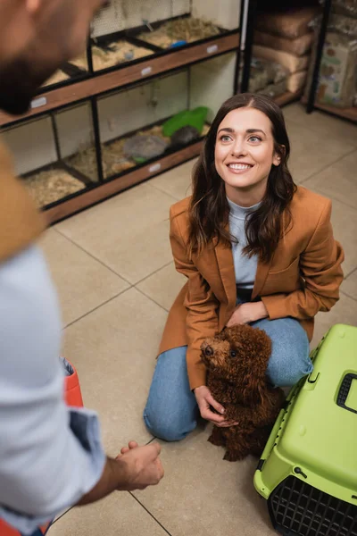 Smiling woman petting poodle near cage and blurred boyfriend in pet shop — Stock Photo