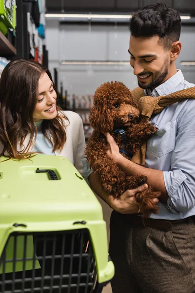 Interracial couple looking at poodle near animal cage in pet shop — Stock Photo