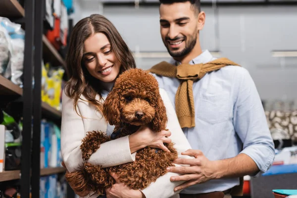 Smiling woman holding poodle near blurred arabian boyfriend in pet shop — Stockfoto