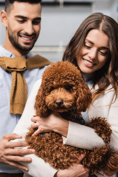 Smiling woman and muslim man holding poodle in pet shop — Stock Photo
