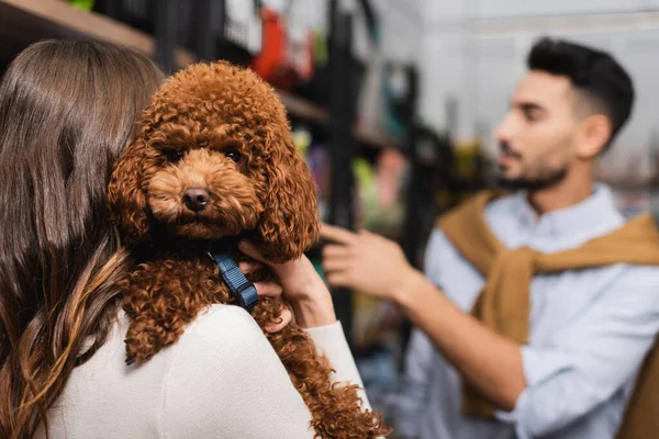 Woman holding poodle near blurred boyfriend in pet shop — Stock Photo