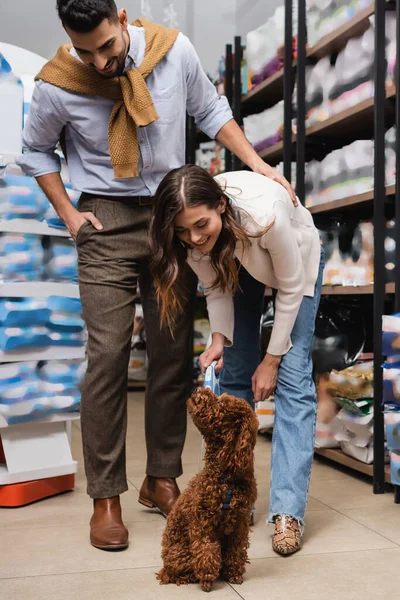 Cheerful woman looking at poodle near arabian boyfriend in pet shop l — Stock Photo
