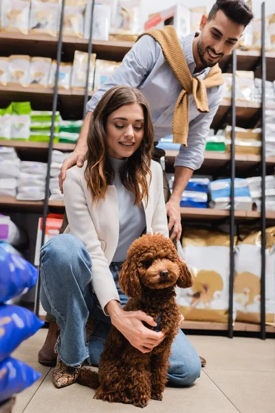 Smiling woman petting poodle dog near arabian boyfriend in pet shop — Stockfoto