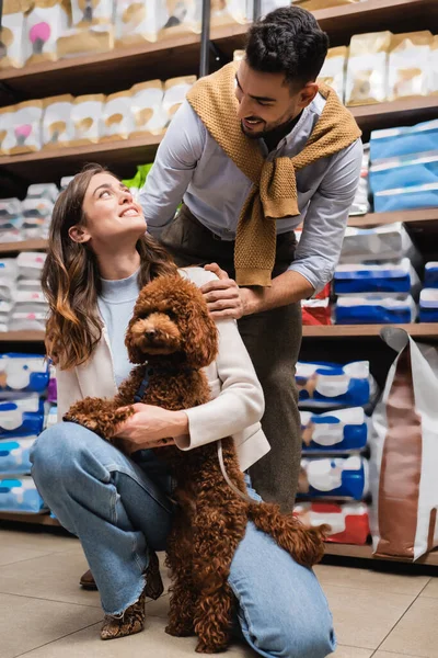 Positive multiethnic couple with brown poodle looking at each other in pet shop — Stock Photo