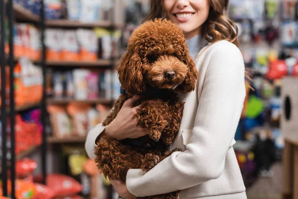 Cropped view of smiling woman holding poodle in pet shop - foto de stock