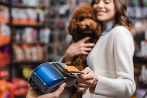 Blurred woman holding poodle and paying with credit card in pet shop — Stock Photo