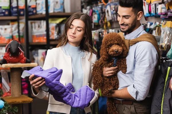 Smiling muslim man holding poodle near girlfriend with animal jacket in shop - foto de stock