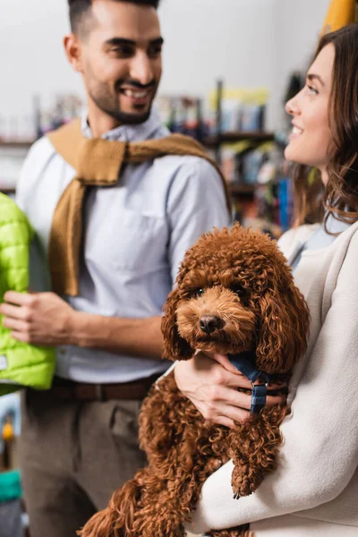 Blurred woman holding brown poodle near smiling muslim boyfriend in pet shop — Fotografia de Stock