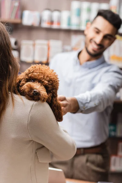 Woman holding poodle near blurred seller in pet shop - foto de stock