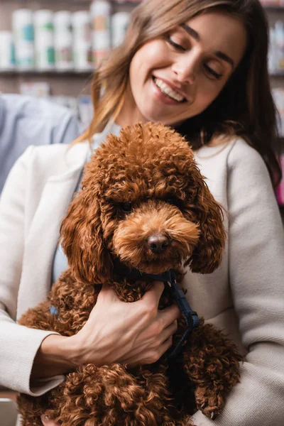 Smiling woman holding brown poodle in pet shop — Foto stock