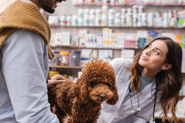 Man holding poodle near blurred veterinarian in pet shop — Stock Photo