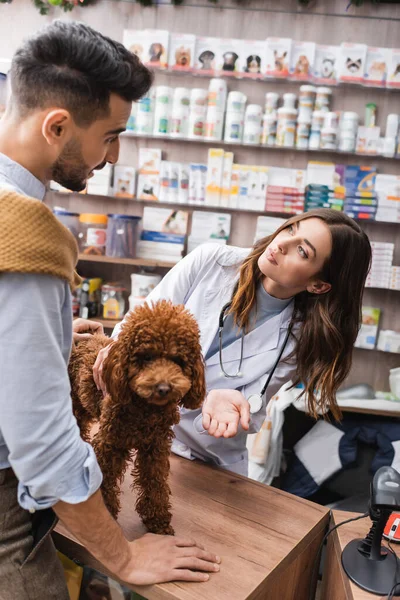 Veterinarian talking to arabian customer near poodle in pet shop — Stock Photo
