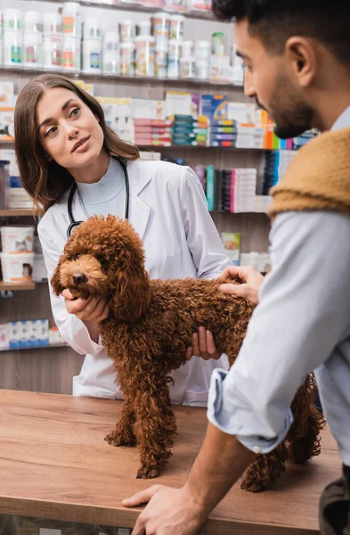 Veterinarian in white coat talking on blurred muslim man near poodle in pet shop — Stock Photo