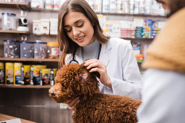 Smiling veterinarian checking poodle near blurred man in pet shop — Stock Photo