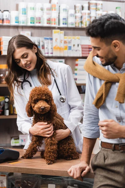 Positive veterinarian looking at poodle near blurred arabian client in pet shop — Photo de stock
