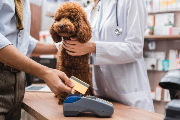 Cropped view of man paying with credit card near poodle and veterinarian in pet shop — Stockfoto