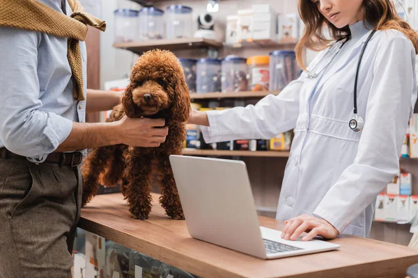 Cropped view of veterinarian using laptop near man and poodle in pet shop — Stockfoto