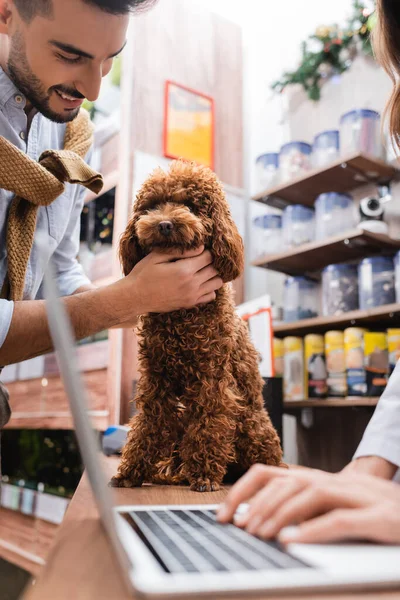 Smiling muslim man petting poodle near veterinarian using laptop in pet shop — Stockfoto