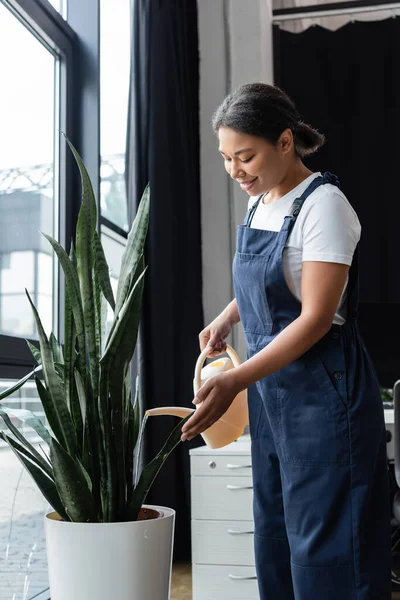 Smiling bi-racial cleaner in uniform watering green plant in office — Stock Photo