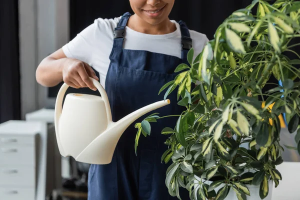 Abgeschnittene Ansicht einer lächelnden zweirassigen Frau in Overalls, die in Pflanzennähe Gießkanne hält — Stockfoto