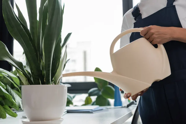 Teilansicht der professionellen Reinigungskraft, die Topfpflanzen im Büro gießt — Stockfoto