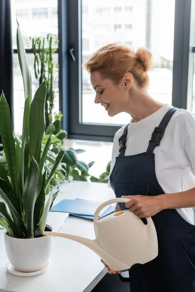 Fröhliche Frau in Arbeitskleidung gießt Pflanze im Büro — Stockfoto