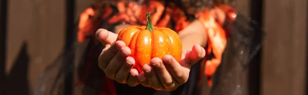 Cropped view of child holding small pumpkin on halloween day, banner — Stock Photo