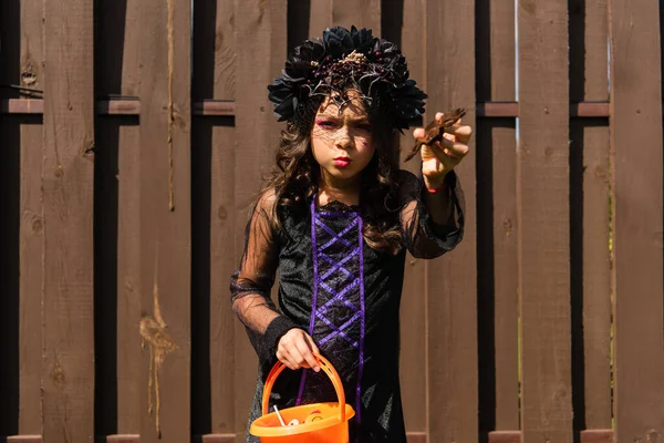 Chica en traje de bruja celebración de halloween cubo y asustar con araña de juguete - foto de stock