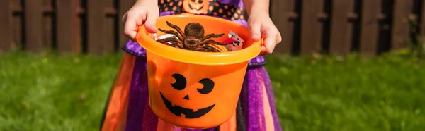 Vista cortada de menina segurando truque ou tratar balde com doces e aranha de brinquedo, banner — Fotografia de Stock