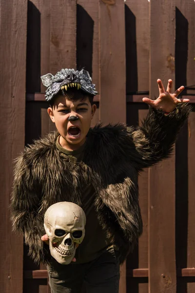 Asiatico ragazzo in lupo mannaro costume holding cranio mentre mostra arrabbiato smorfia e spaventoso gesto — Foto stock